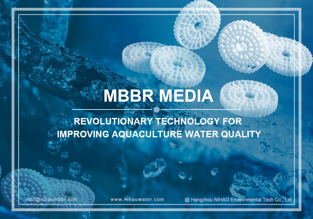 MBBR: tecnologia rivoluzionaria per migliorare la qualità dell'acqua dell'acquacoltura